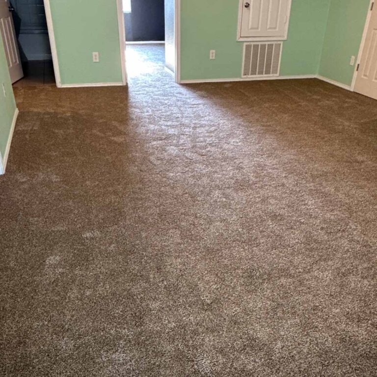Dreamweaver SP250 carpet great for family rooms and heavy traffic.