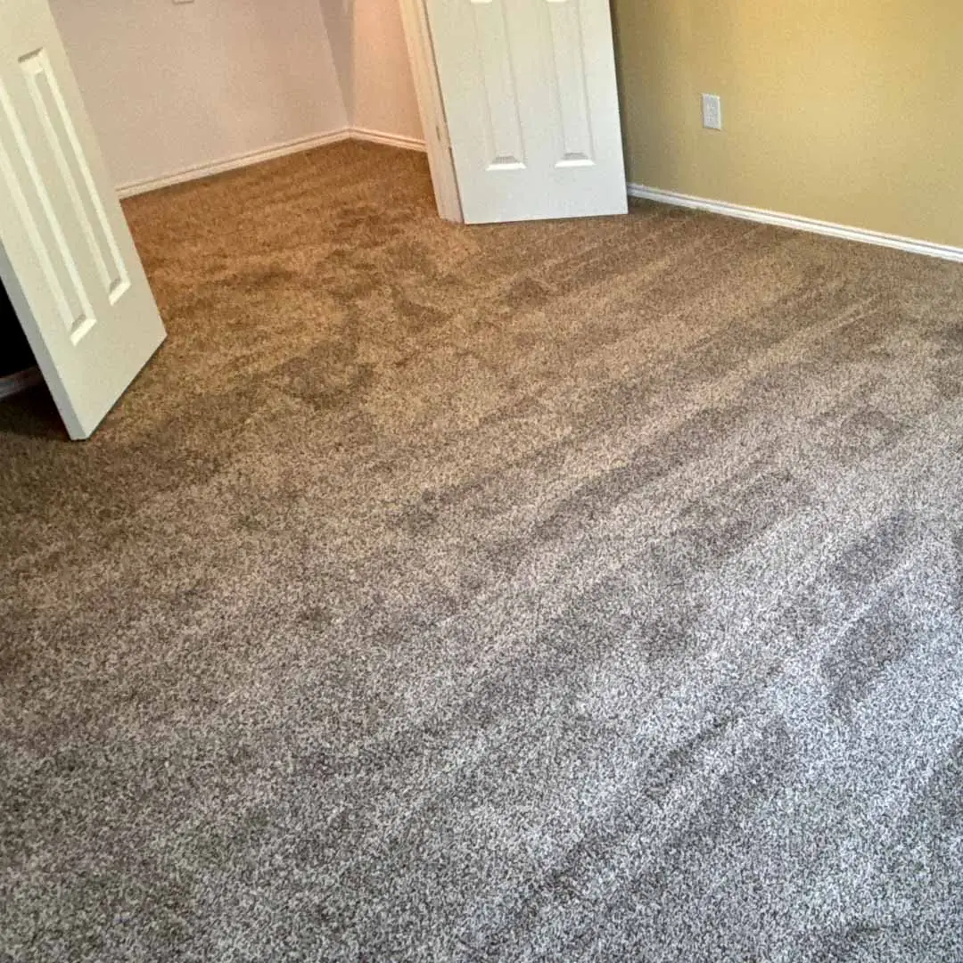 Dreamweaver SP250 carpet in the color Agate installed by the experts at Flooring Direct DFW in Denton, Texas
