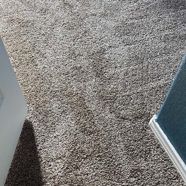 Dreamweaver SP250 carpet flooring has fade resistance and works great in high-traffic areas like doorways.