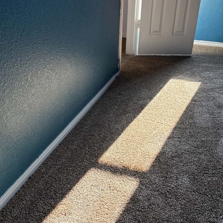 Dreamweaver carpet flooring with PureColor® has color that won't fade in sunlight.