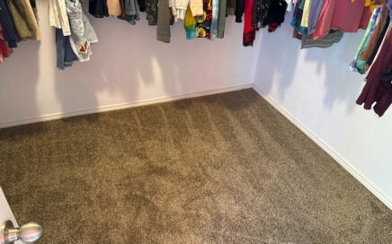 Dreamweaver SP250 carpet in the color Agate installed by the experts at Flooring Direct DFW in Denton, Texas